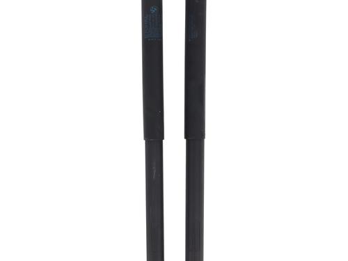 Tailgate lift support BMW X5 (E70) xDrive 30 d | BP26933302C138 
