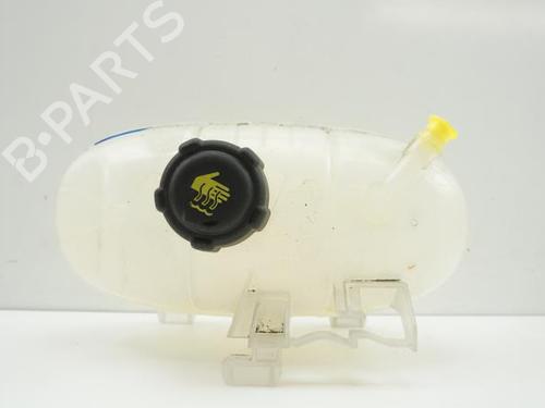 Expansion tank RENAULT TRAFIC III Van (FG_) 1.6 dCi 125 (FGMH) | BP18181809C120
