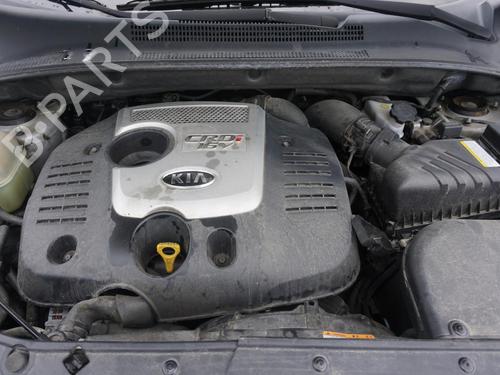  - Image 11