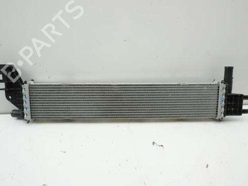 Used Water radiator DACIA SANDERO II 1.5 Blue dCi 95 (B8JL) (95 hp) 18182303