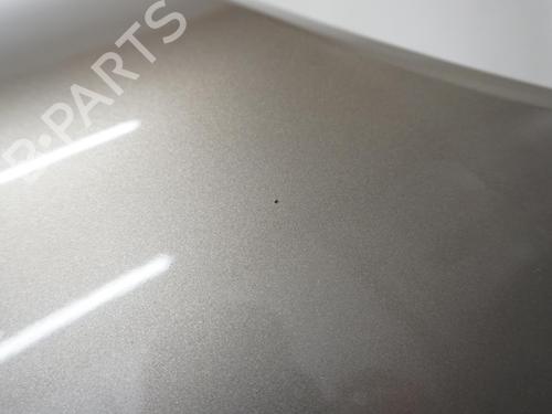 Hood CITROËN NEMO MPV 1.4 HDi | BP18173141C1 