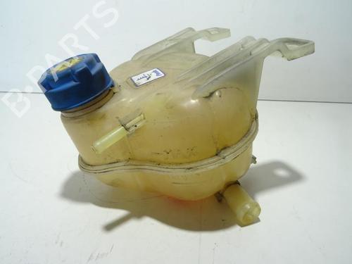 Used Expansion tank FIAT PUNTO EVO (199_) 1.3 D Multijet (95 hp) 18175232