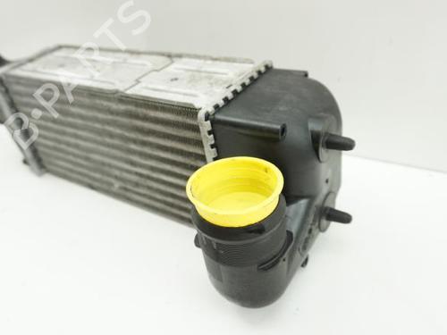 Used Intercooler CITROËN C4 Grand Picasso I (UA_) 2.0 HDi 138 (136 hp) 18174941