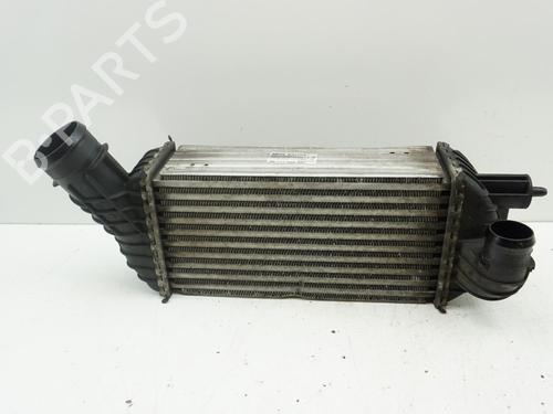 Intercooler CITROËN DS5 2.0 HDi 165 | BP18183852M30 