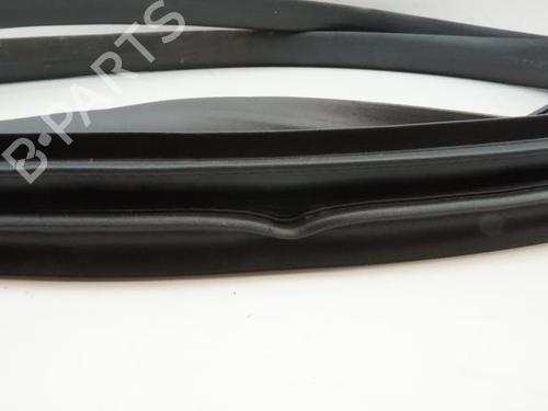 Rubber door seal RENAULT SCÉNIC IV (J9_) 1.7 Blue dCi 120 (J9A7, J9A8) | BP22071976C142 