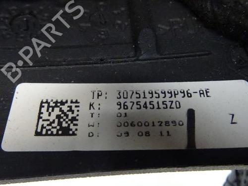 Used Steering wheel CITROËN C4 II (NC_) 1.6 VTi 120 (NC5FS0, NC5FS9) (120 hp) 18196687