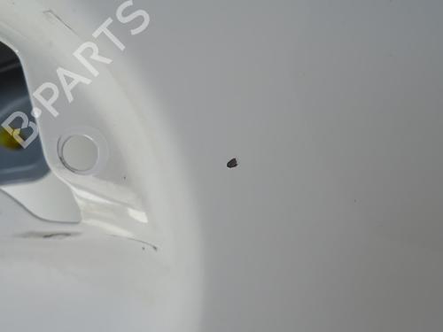 Right front door RENAULT KANGOO Express (FC0/1_) 1.5 dCi (FC07, FC1R) | BP18186989C3 