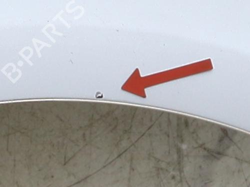 Right front fenders RENAULT CLIO III Grandtour (KR0/1_) 1.5 dCi (KR0F) | BP29585553C42 