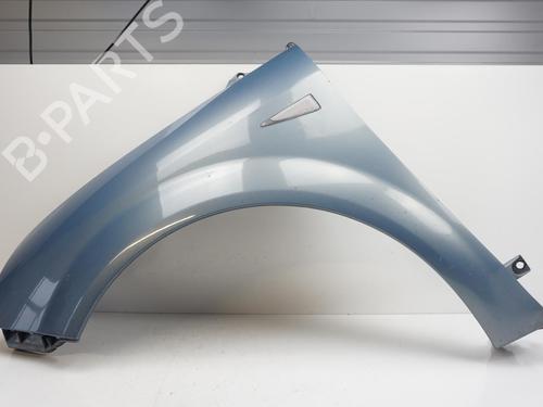 Left front fenders RENAULT SCÉNIC II (JM0/1_) 1.9 dCi | BP18180456C41 