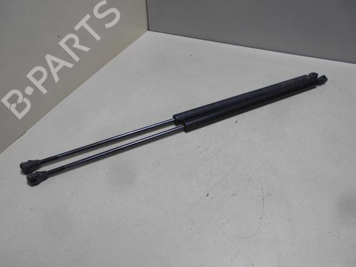 Tailgate lift support CITROËN EVASION MPV (22, U6) 2.0 Turbo C.T. | BP22071496C138 