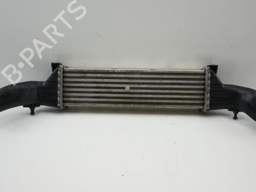 Intercooler MERCEDES-BENZ C-CLASS (W202) C 220 CDI (202.133) | BP22071801M30