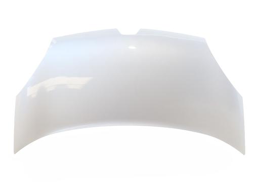 hood-renault-kangoo-express-fw01_-2008-32630378 main image