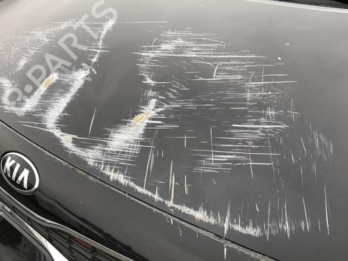 Left front steering knuckle KIA PICANTO III (JA) 1.0 T-GDi | BP30643446M25  - Image 20