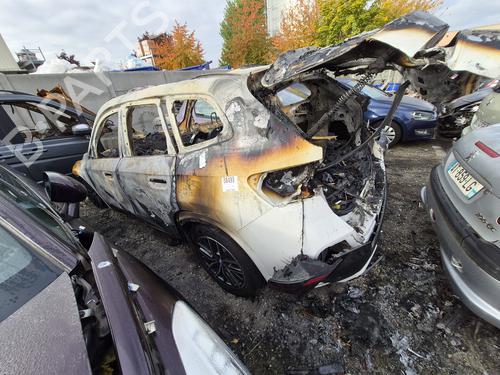 - Image 7