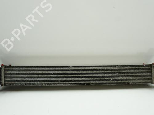 Used Intercooler VW POLO V (6R1, 6C1) 1.6 TDI (90 hp) 18177626