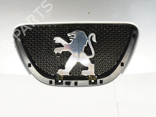 Hood PEUGEOT 107 (PM_, PN_) 1.0 | BP18188778C1
