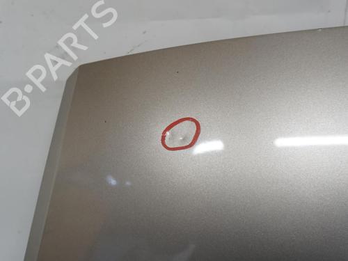 Hood CITROËN NEMO MPV 1.4 HDi | BP18173141C1 