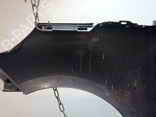 Right front fenders RENAULT SCÉNIC III (JZ0/1_) 1.5 dCi | BP19730520C42 