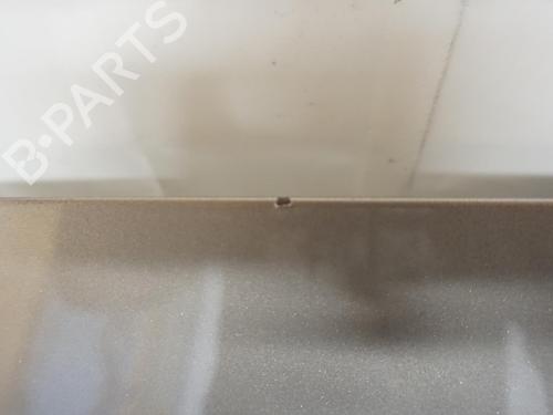 Hood CITROËN NEMO MPV 1.4 HDi | BP18173141C1 