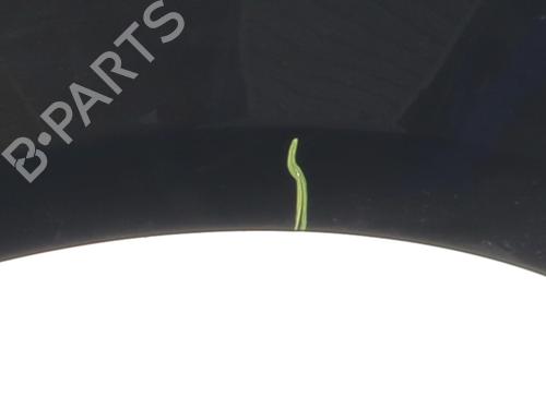 Right front fenders RENAULT CLIO III (BR0/1, CR0/1) 1.5 dCi (BR17, CR17) | BP25153532C42 