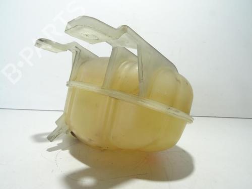 Expansion tank FIAT PUNTO EVO (199_) 1.3 D Multijet | BP18175232C120 