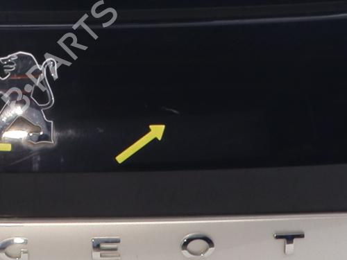 Tailgate PEUGEOT 308 SW I (4E_, 4H_) 1.6 16V | BP29525745C6 