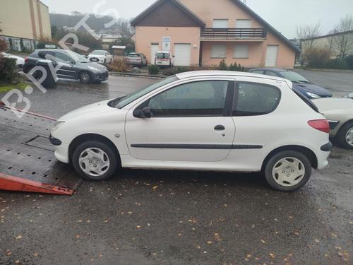 Catalyst PEUGEOT 206 Hatchback (2A/C) 1.9 D | BP18171619M10 