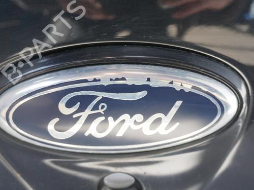 Used Tailgate Tailgate FORD KA (RU8) 1.2 (69 hp) 18188406 18188406