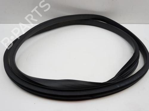 Used Rubber door seal RENAULT SCÉNIC IV (J9_) 1.7 Blue dCi 120 (J9A7, J9A8) (120 hp) 22071976