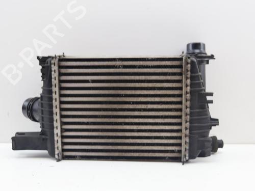 Intercooler RENAULT CAPTUR I (J5_, H5_) 1.5 dCi 90 (J5N4, J5M5, J5MW, J5M6, J5AL, J5AJ) | BP18183241M30 