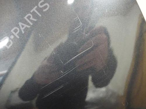 Used Left front fenders RENAULT SCÉNIC III (JZ0/1_) 1.9 dCi (JZ0J, JZ1J, JZ1K, JZ1S) (131 hp) 18173597