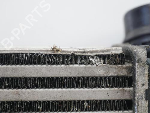 Intercooler RENAULT MEGANE IV Hatchback (B9A/M/N_) 1.5 dCi 110 (B9A3) | BP18187194M30