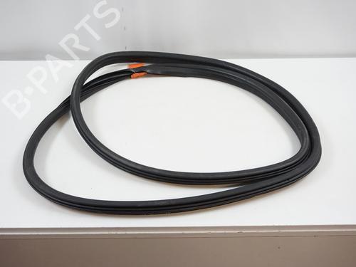 Used Rubber door seal PEUGEOT 308 I (4A_, 4C_) 1.6 HDi (90 hp) 18172970