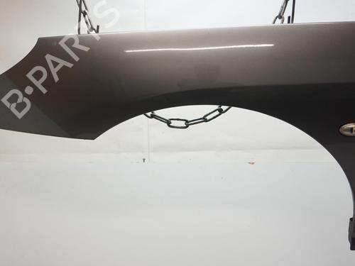 Used Left front fenders PEUGEOT 407 (6D_) 1.6 HDi 110 (6D9HZC, 6D9HYC) (109 hp) 19731073