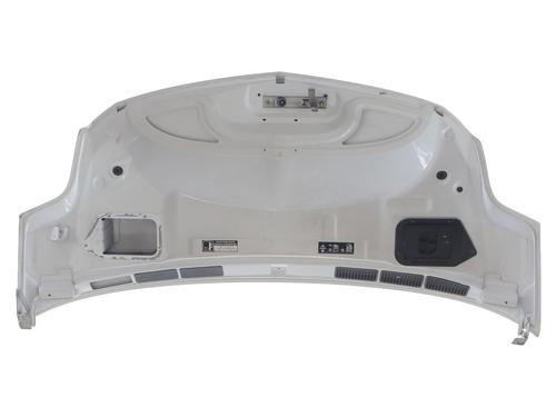 Hood RENAULT TRUCKS MASCOTT Platform/Chassis 120.65 (A00500007) | BP29900713C1