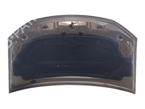 hood-dacia-sandero-ii-2012-39155529 main image