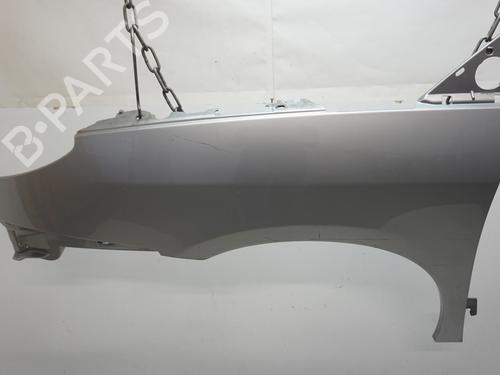 Used Left front fenders CITROËN C8 (EA_, EB_) 2.2 HDi (128 hp) 19730650