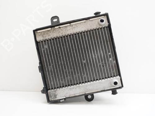 Water radiator MERCEDES-BENZ A-CLASS (W176) AMG A 45 4-matic (176.052) 0995003203