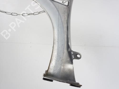 Right front fenders RENAULT MEGANE II (BM0/1_, CM0/1_) 1.9 dCi | BP18183715C42 
