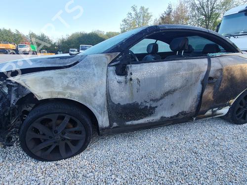 Right front door RENAULT MEGANE CC (EZ0/1_) 1.6 dCi (EZ00) | BP24501261C3