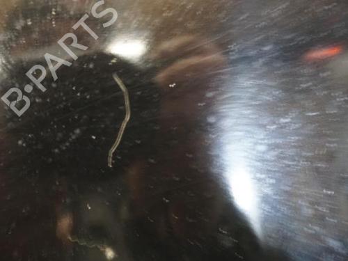 Left front fenders KIA CARENS III MPV (UN) 2.0 CRDi 140 | BP18189688C41 