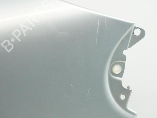 Left front fenders RENAULT MASTER II Van (FD) 2.2 dCI 90 (FD0G, FD0N, FD2G, FD2N, FD3G, FD3N) | BP18174674C41 