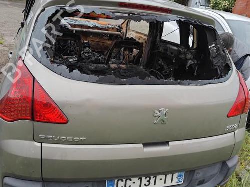 Tailgate PEUGEOT 3008 I MPV (0U_) 1.6 HDi | BP22075054C6 