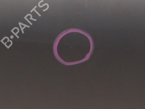 Right front door RENAULT SCÉNIC III (JZ0/1_) 1.5 dCi | BP22274132C3 