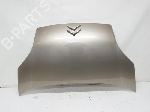 Hood CITROËN NEMO MPV 1.4 HDi | BP18173141C1 