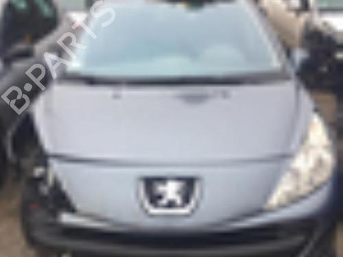 Front right exterior door handle PEUGEOT 207 (WA_, WC_) 1.6 HDi | BP22071273C129 