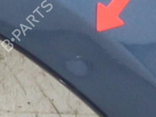 Left front fenders VW GOLF PLUS V (5M1, 521) 1.9 TDI | BP29590675C41 