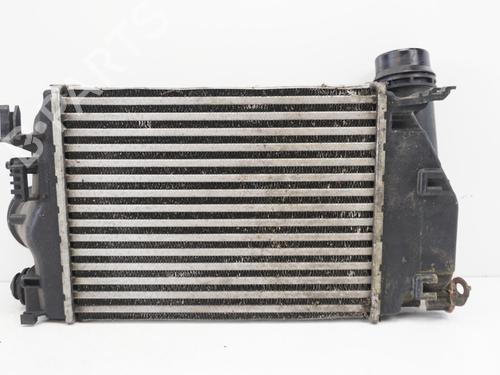 Used Intercooler RENAULT MEGANE IV Hatchback (B9A/M/N_) 1.5 dCi 110 (B9A3) (110 hp) 18187194