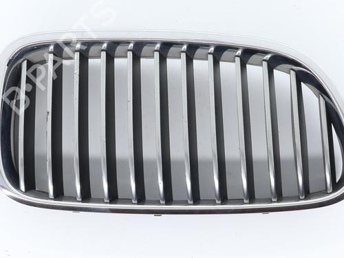 Grille BMW 5 Touring (F11) 530 d xDrive 51137203650