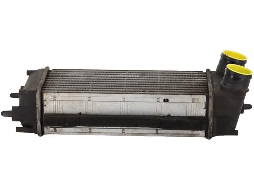Intercooler FORD B-MAX (JK) 1.6 TDCi (95 hp) 19731275